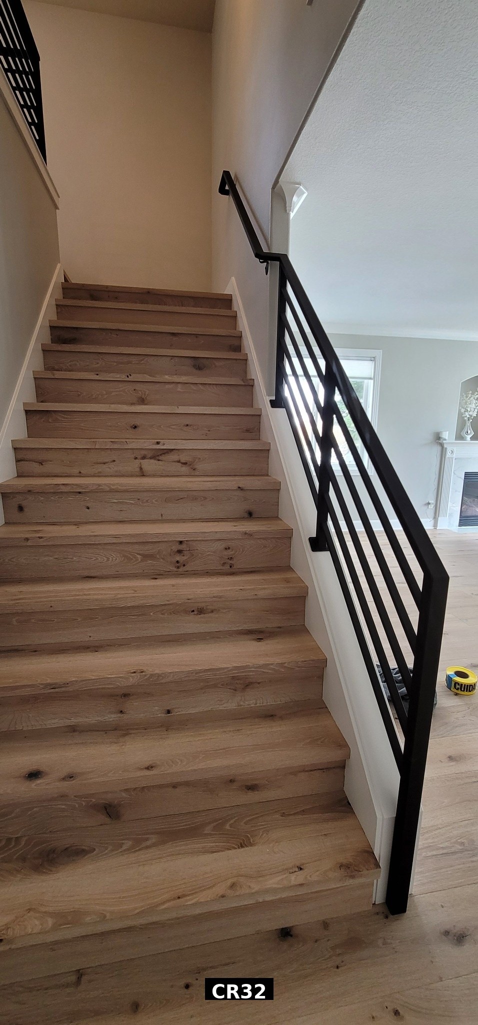 Custom Railings project